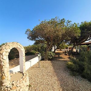 Appartamenti Delfino